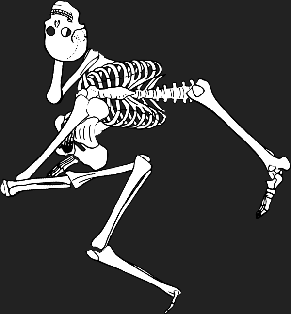Dem bones dem bones dem – dry bones!