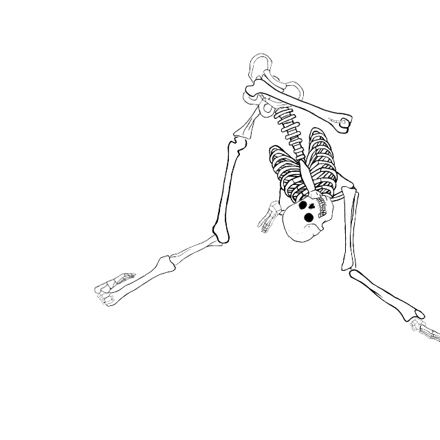 Dem bones dem bones dem – dry bones!