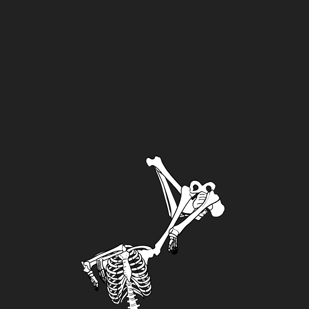 Dem bones dem bones dem – dry bones!