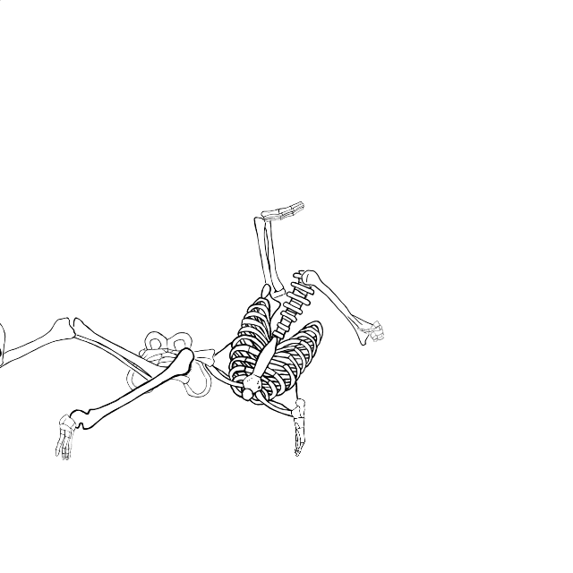 Dem bones dem bones dem – dry bones!