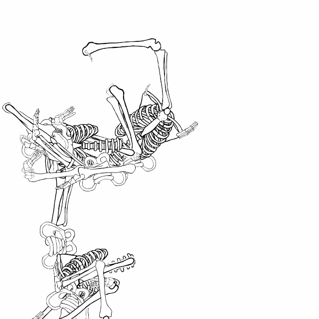 Dem bones dem bones dem – dry bones!