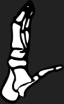 Dem bones dem bones dem – dry bones!