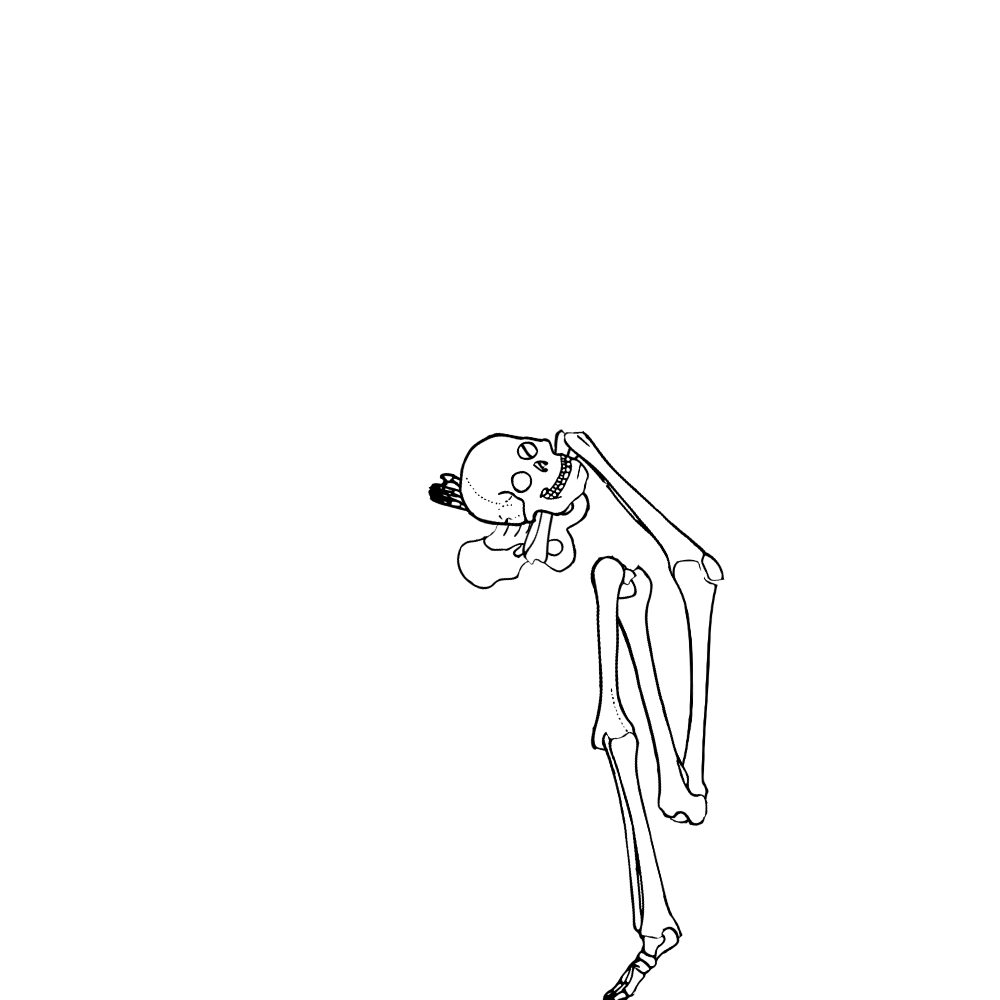 Dem bones dem bones dem – dry bones!
