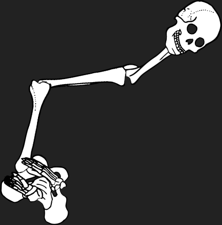 Dem bones dem bones dem – dry bones!