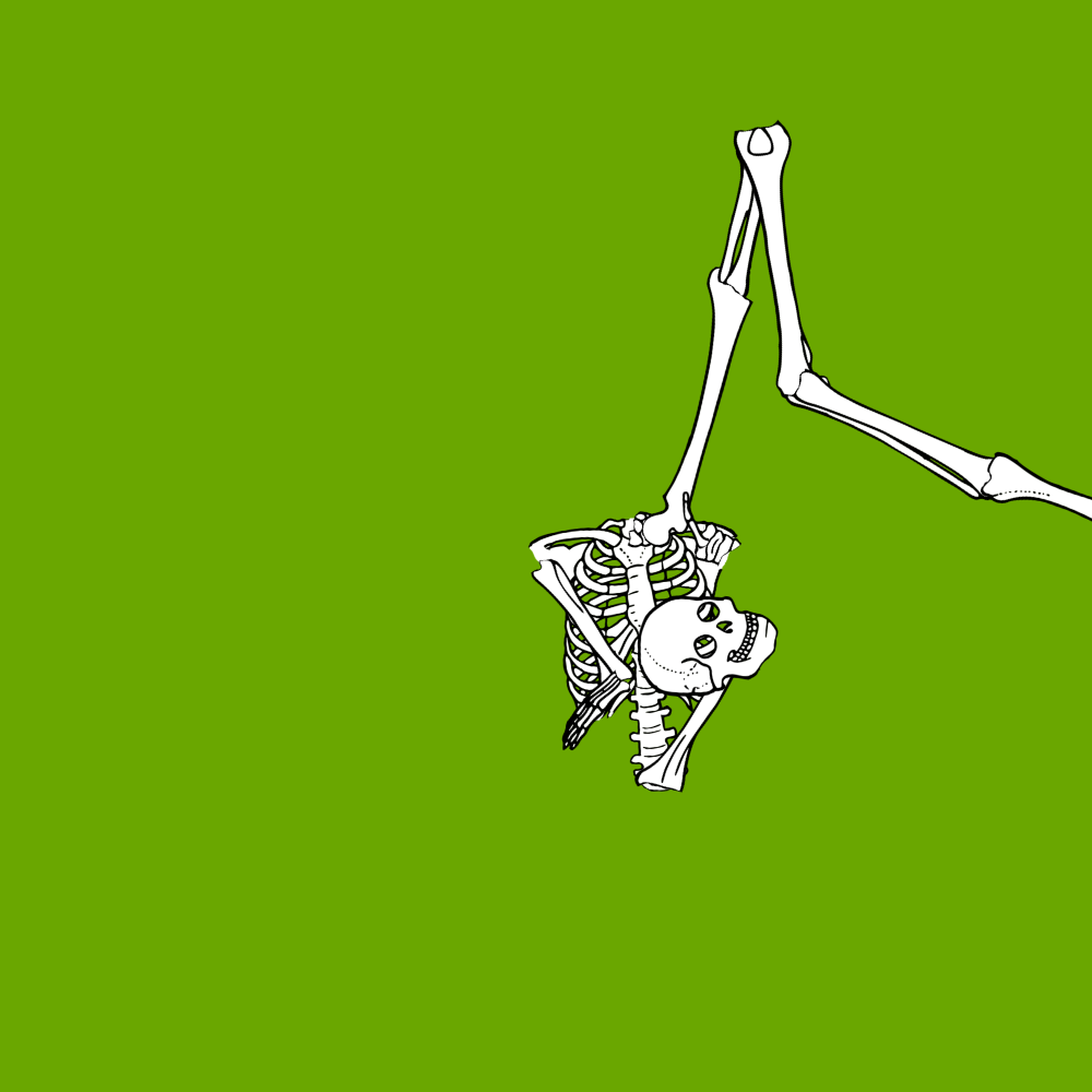 Dem bones dem bones dem – dry bones!