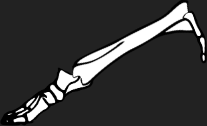 Dem bones dem bones dem – dry bones!