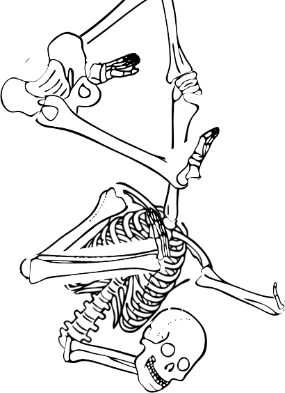 Dem bones dem bones dem – dry bones!