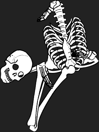 Dem bones dem bones dem – dry bones! Dem bones dem bones dem – extra bones!