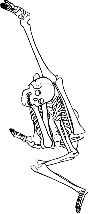 Dem bones dem bones dem – dry bones!
