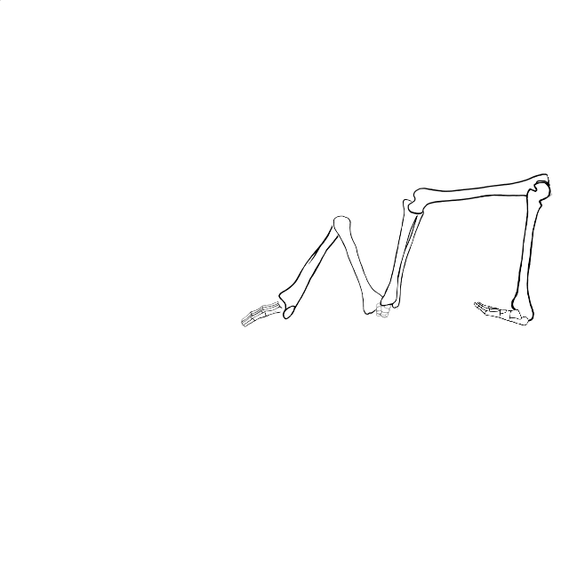 Dem bones dem bones dem – dry bones!