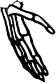Dem bones dem bones dem – dry bones!