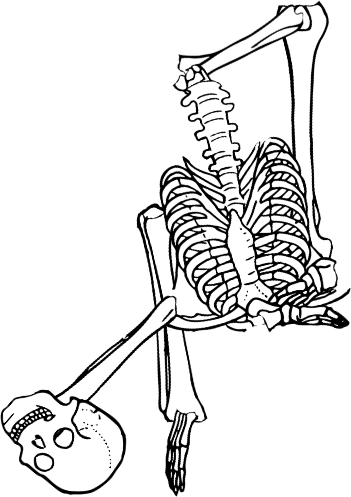 Dem bones dem bones dem – dry bones! Dem bones dem bones dem – extra bones!