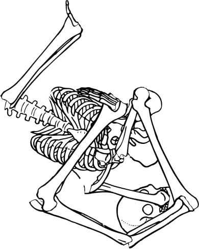 Dem bones dem bones dem – dry bones!