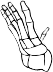 Dem bones dem bones dem – dry bones!