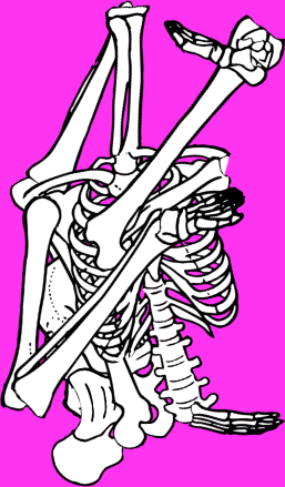 Dem bones dem bones dem – dry bones!