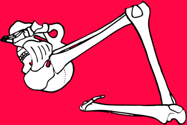 Dem bones dem bones dem – dry bones!