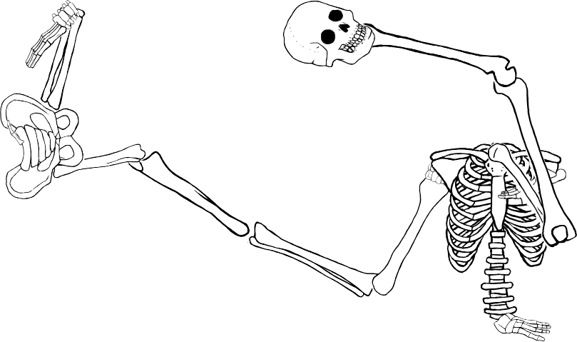 Dem bones dem bones dem – dry bones!