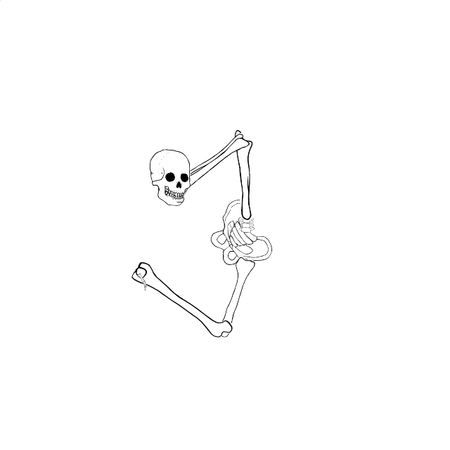 Dem bones dem bones dem – dry bones!