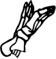 Dem bones dem bones dem – dry bones!