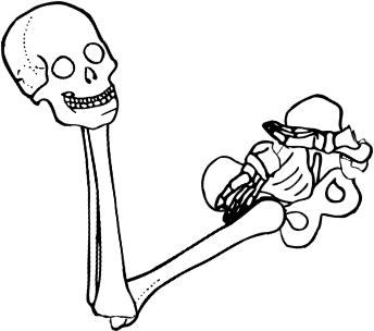 Dem bones dem bones dem – dry bones!