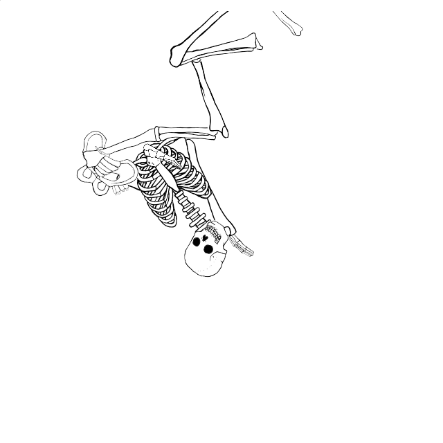 Dem bones dem bones dem – dry bones!