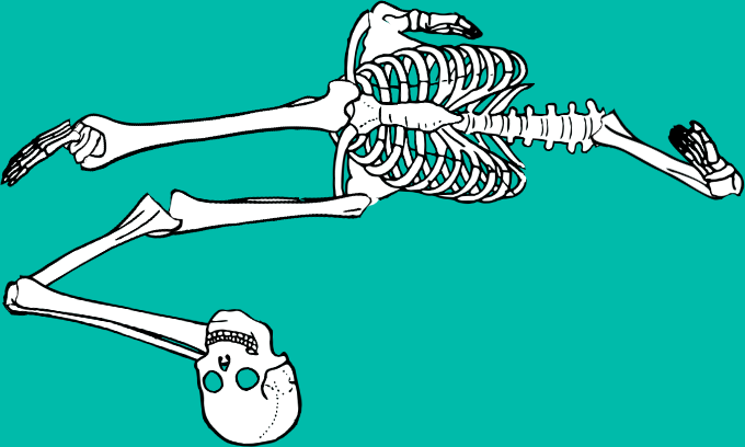 Dem bones dem bones dem – dry bones! Dem bones dem bones dem – extra bones!