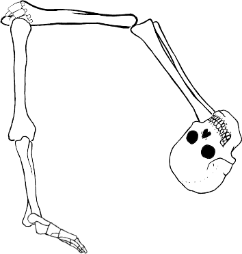 Dem bones dem bones dem – dry bones!