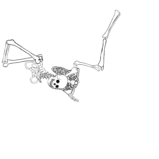 Dem bones dem bones dem – dry bones!