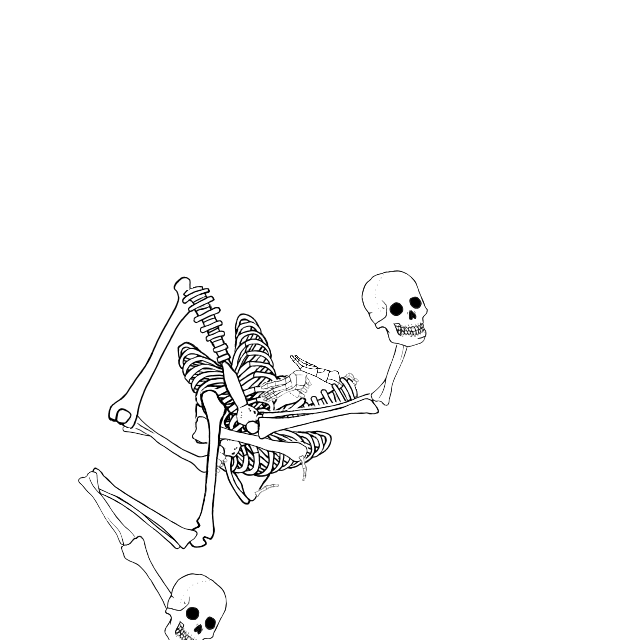Dem bones dem bones dem – dry bones!