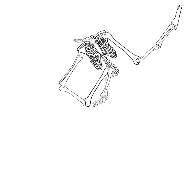 Dem bones dem bones dem – dry bones!