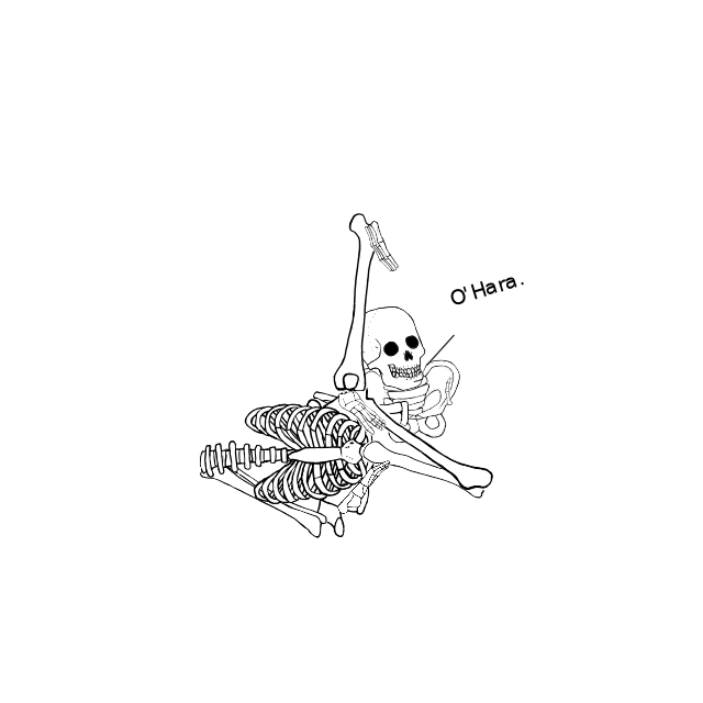Dem bones dem bones dem – dry bones!