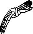 Dem bones dem bones dem – dry bones!