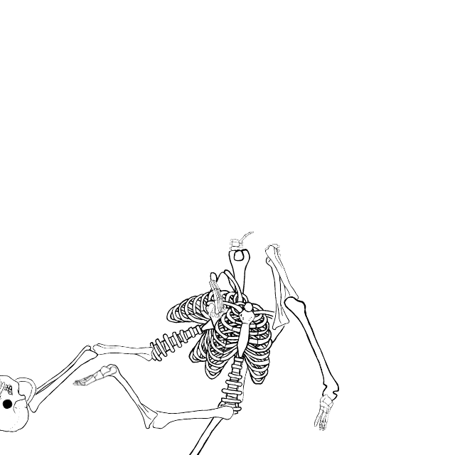 Dem bones dem bones dem – dry bones!