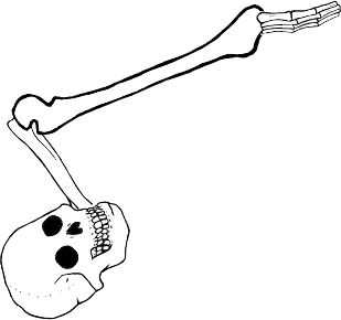 Dem bones dem bones dem – dry bones!