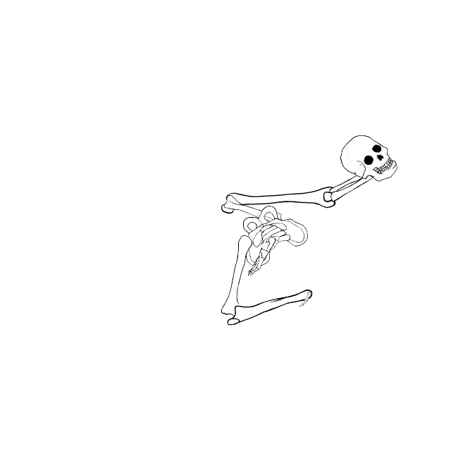 Dem bones dem bones dem – dry bones!