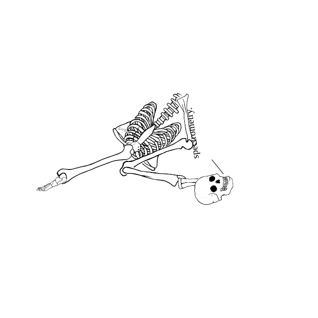 Dem bones dem bones dem – dry bones!