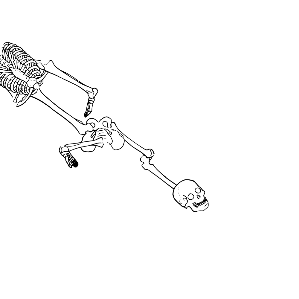 Dem bones dem bones dem – dry bones!