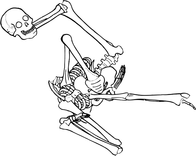 Dem bones dem bones dem – dry bones!