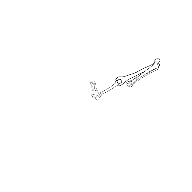 Dem bones dem bones dem – dry bones!