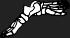 Dem bones dem bones dem – dry bones!