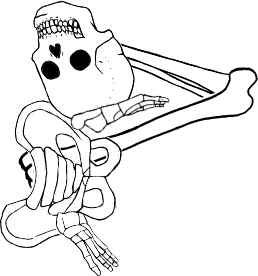 Dem bones dem bones dem – dry bones!