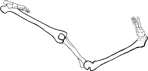 Dem bones dem bones dem – dry bones!