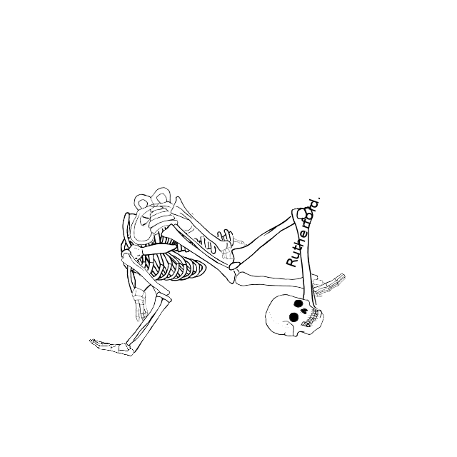 Dem bones dem bones dem – dry bones!