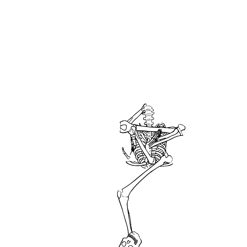 Dem bones dem bones dem – dry bones!