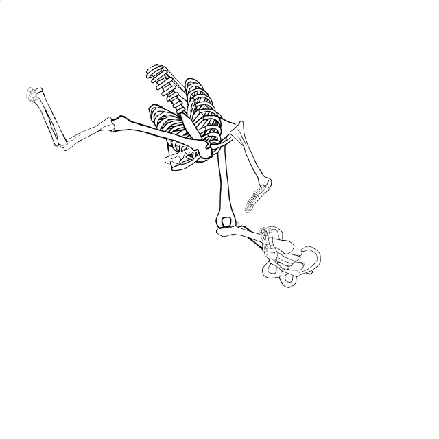 Dem bones dem bones dem – dry bones!