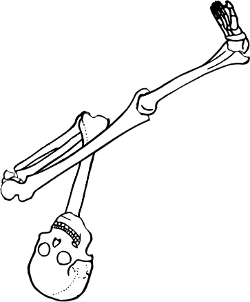 Dem bones dem bones dem – dry bones!