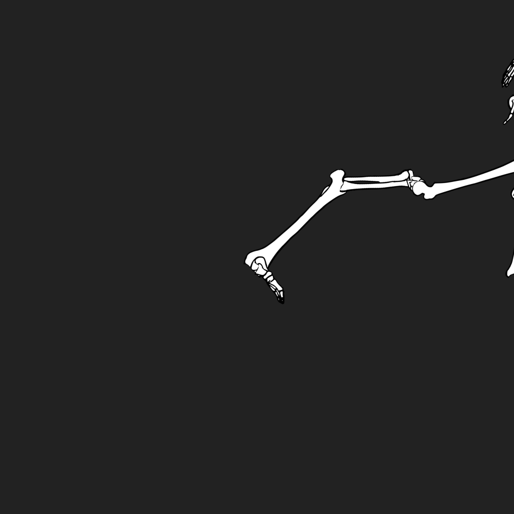 Dem bones dem bones dem – dry bones!