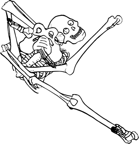 Dem bones dem bones dem – dry bones!