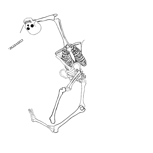 Dem bones dem bones dem – dry bones!