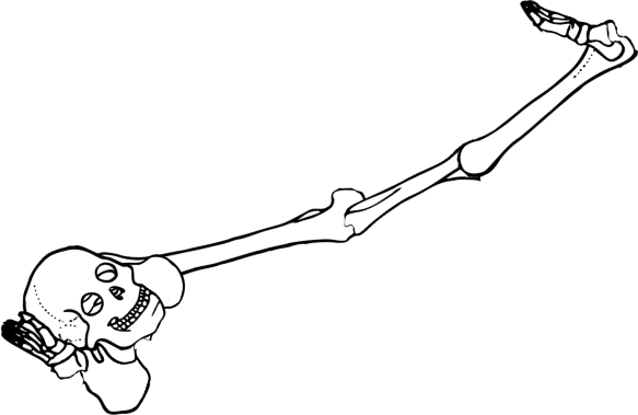 Dem bones dem bones dem – dry bones!